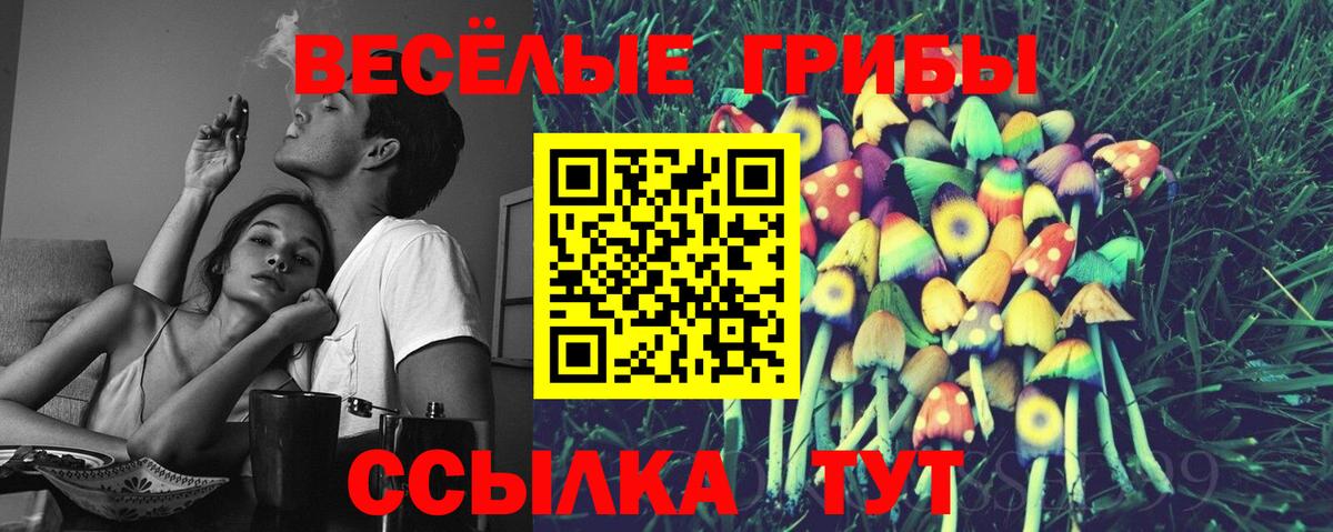 где можно купить   Вход с VPN  Гулькевичи  Галлюциногенные грибы мицелий 
